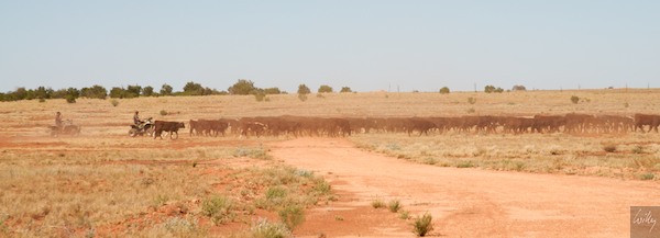 AustraliaAdelaide 10  141